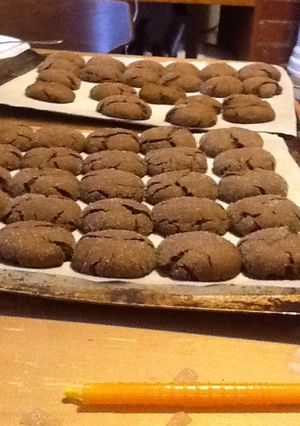 A picture of Secret of the Gingersnap Cookies.