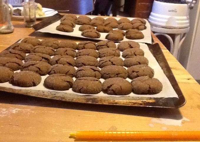 Secret of the Gingersnap Cookies