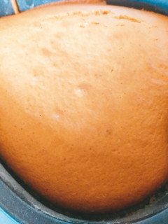 A picture of Vanilla cake.