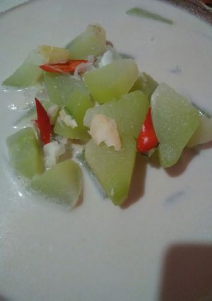 Foto resep Sayur lodeh jipang bumbu iris simple