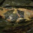 Pepes ikan nila kemangi + tips