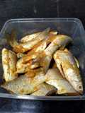 419. Meal Prep Blanak Marinasi