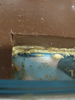 Una foto de Flan de chocolate negro
