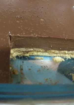 Una foto de Flan de chocolate negro