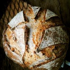 A picture of Rustic Walnut Loaf with Homemade Natural Leaven.