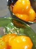 Kumquat Compote