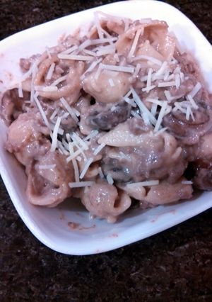 A picture of Beef Stroganoff Pasta Roni.