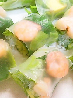 A picture of Our Family Recipe For Fresh Spring Rolls and Dipping Sauce.