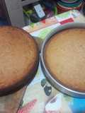 Panetela y/o Marquesote
