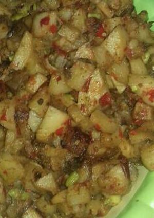 Foto resep Sambel goreng kentang pete ati ayam