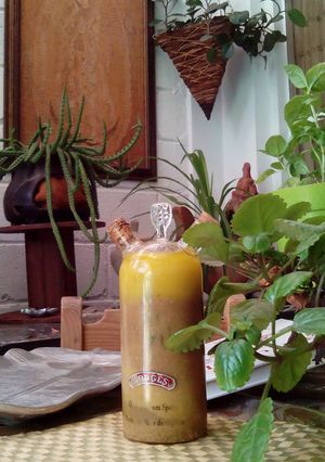 A picture of Vinaigrette of Orange mojo with balsamic vinegar, Tuli's version's.
