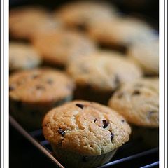 A picture of Low Calorie Chocolate Banana Muffins.