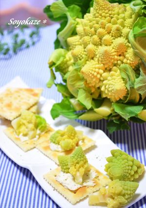 A picture of Romanesco Broccoli & Cheese Canapés.