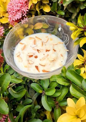સામા ની આઈસ્ક્રીમ ખીર (Sama Icecream Kheer Recipe In Gujarati) રેસીપી મુખ્ય ફોટો
