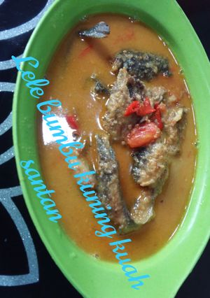 Foto resep Lele bumbu kuning kuah santan