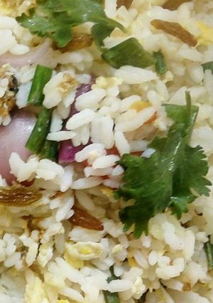 A picture of Egg fried rice.