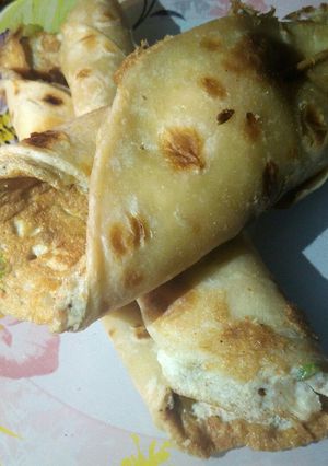 A picture of Egg paratha wrap.