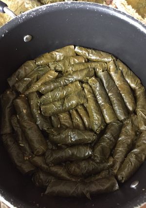 A picture of Warak Enab Grape Leaves Egyptian Style.