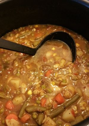 A picture of Some of Everything Stew.