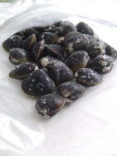 A picture of How to Preserve Shijimi Clams in the Freezer.