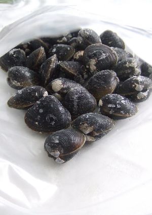 A picture of How to Preserve Shijimi Clams in the Freezer.