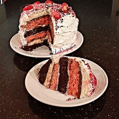 A picture of Neapolitan Layer Cake.