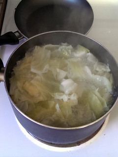 A picture of boiled cabbage.