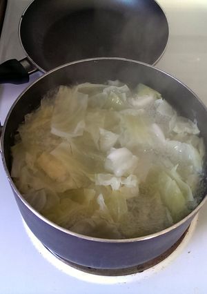 A picture of boiled cabbage.