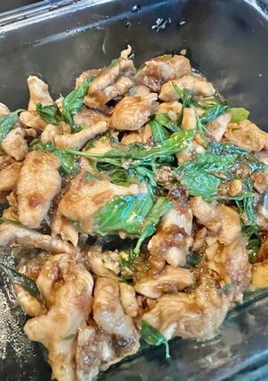 Gambar Resepi Ayam/Daging Pad Kra Pao
