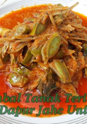 Foto resep Sambal Tanak Teri Pete