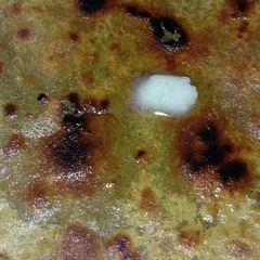 Bajra Chapati A picture of Bajra Chapati.