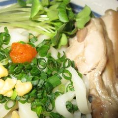 A picture of Tasty Noodles! Cold Udon with Steamed Chicken.