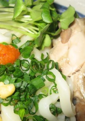 A picture of Tasty Noodles! Cold Udon with Steamed Chicken.