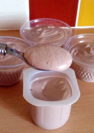 A picture of Vickys Cashew Yogurt, GF DF EF SF Vegan.