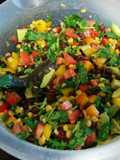 Carol's Salsa (Vomit)