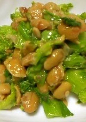 A picture of Broccolini & Natto with Bonito Flakes.