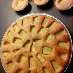 splendid spelt wholemeal flour cake and muffin batter A picture of splendid spelt wholemeal flour cake and muffin batter.