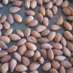 A picture of Activated x roast almond.