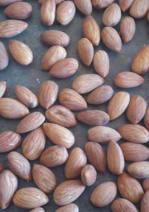 A picture of Activated x roast almond.