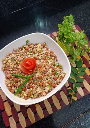 A picture of Sprout Salad.