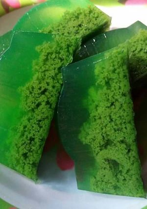 Foto resep Puding Lumut Pandan