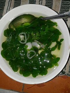 Foto resep Sayur bening daun kelor