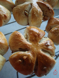A picture of Using a Bread Machine! Fluffy Walnut Bread.
