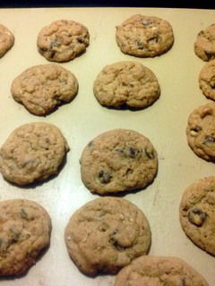 A picture of pecan chip cookie.