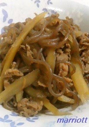 A picture of Sweet and Savory Burdock & Beef Simmer.