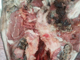 Boiling cow head and soup