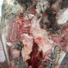 A picture of Boiling cow head and soup.