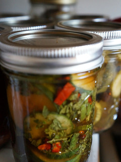 A picture of PMS Pickles.
