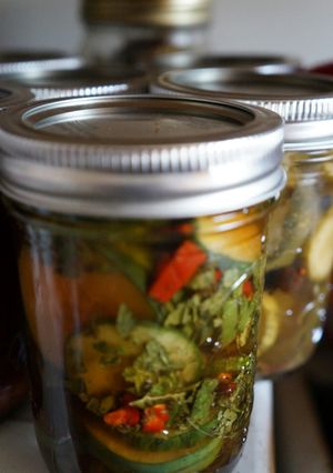 A picture of PMS Pickles.