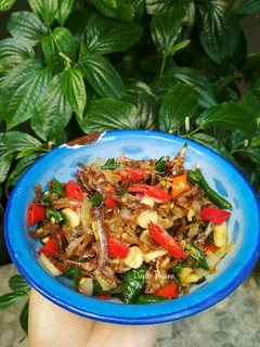 Foto resep Tumis Teri Cabe Ijo